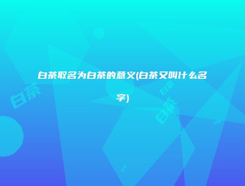 白茶取名为白茶的意义(白茶又叫什么名字)