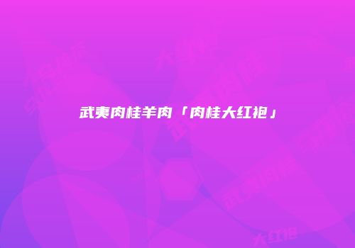 武夷肉桂羊肉「肉桂大红袍」