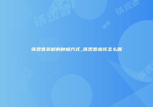 铁观音茶树的种植方式_铁观音应该怎么喝
