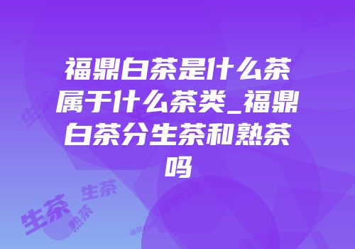 福鼎白茶是什么茶属于什么茶类_福鼎白茶分生茶和熟茶吗