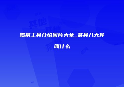 喝茶工具介绍图片大全_茶具八大件叫什么