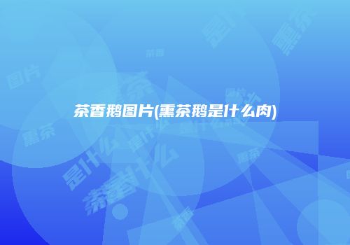 茶香鹅图片(熏茶鹅是什么肉)