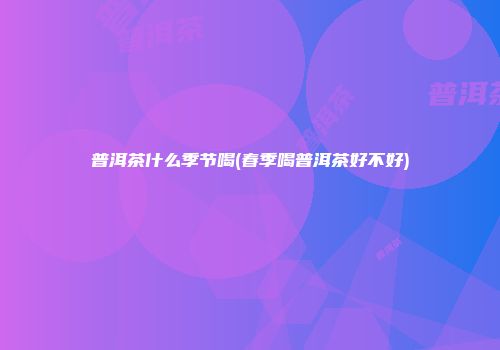 普洱茶什么季节喝(春季喝普洱茶好不好)