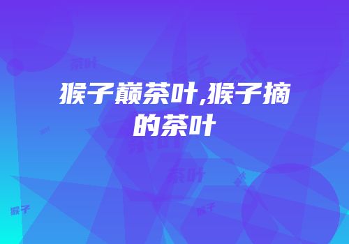 猴子巅茶叶,猴子摘的茶叶