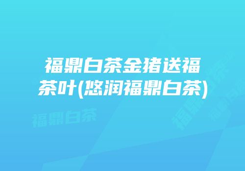 福鼎白茶金猪送福茶叶(悠润福鼎白茶)