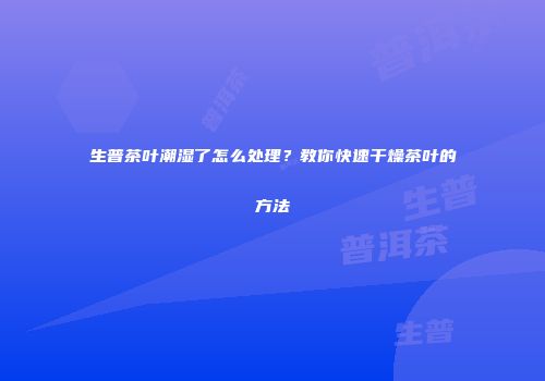 生普茶叶潮湿了怎么处理？教你快速干燥茶叶的方法