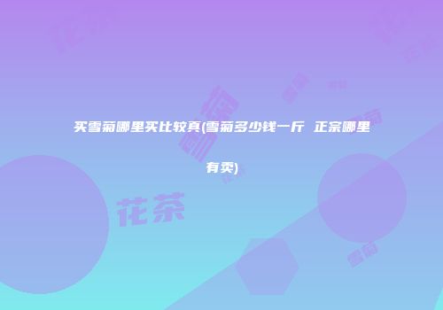 买雪菊哪里买比较真(雪菊多少钱一斤 正宗哪里有卖)