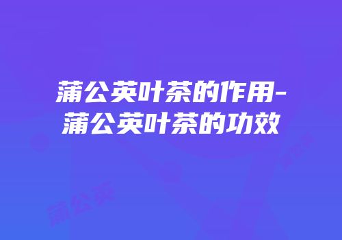 蒲公英叶茶的作用-蒲公英叶茶的功效