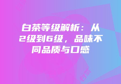 白茶等级解析：从2级到6级，品味不同品质与口感