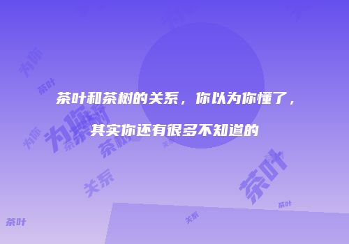 茶叶和茶树的关系，你以为你懂了，其实你还有很多不知道的