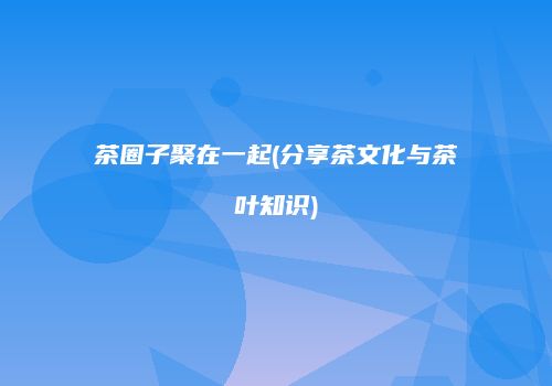 茶圈子聚在一起(分享茶文化与茶叶知识)