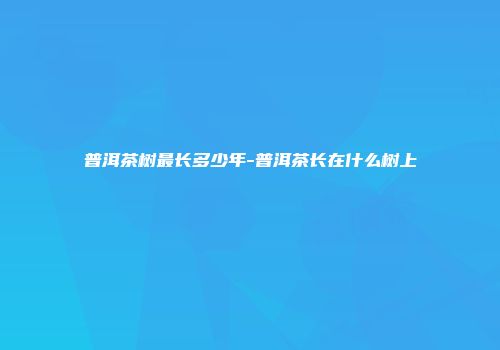 普洱茶树最长多少年-普洱茶长在什么树上