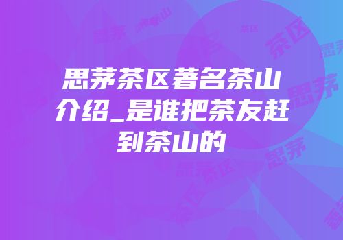 思茅茶区著名茶山介绍_是谁把茶友赶到茶山的