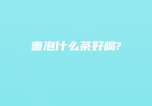 壶泡什么茶好喝?