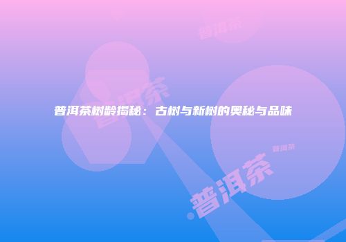 普洱茶树龄揭秘：古树与新树的奥秘与品味