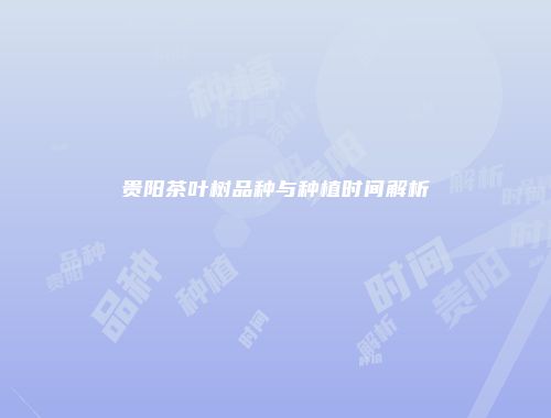 贵阳茶叶树品种与种植时间解析