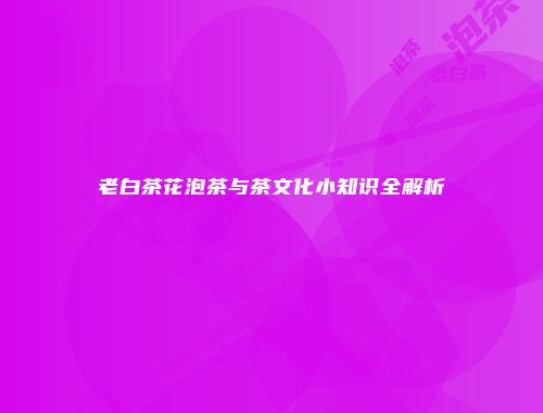 老白茶花泡茶与茶文化小知识全解析