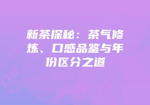 新茶探秘：茶气修炼、口感品鉴与年份区分之道