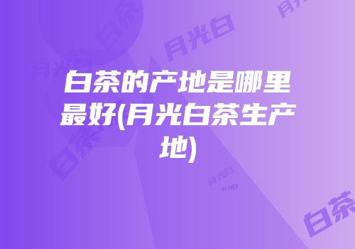 白茶的产地是哪里最好(月光白茶生产地)
