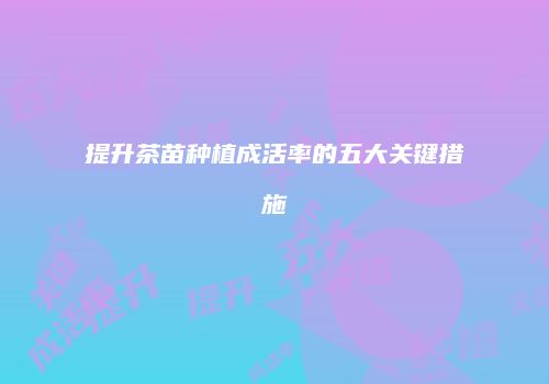 提升茶苗种植成活率的五大关键措施