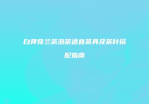 白芽奇兰茶泡茶适宜茶具及茶叶搭配指南