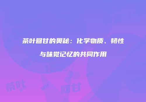 茶叶回甘的奥秘：化学物质、韧性与味觉记忆的共同作用
