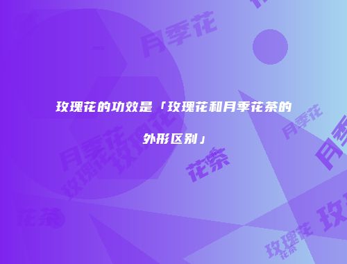玫瑰花的功效是「玫瑰花和月季花茶的外形区别」