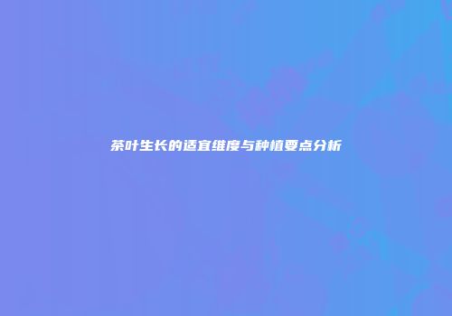 茶叶生长的适宜维度与种植要点分析