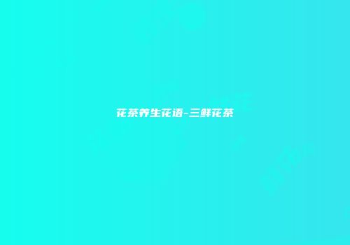 花茶养生花语-三鲜花茶