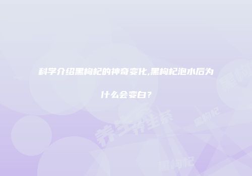 科学介绍黑枸杞的神奇变化,黑枸杞泡水后为什么会变白？