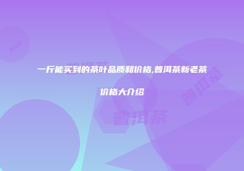 一斤能买到的茶叶品质和价格,普洱茶新老茶价格大介绍
