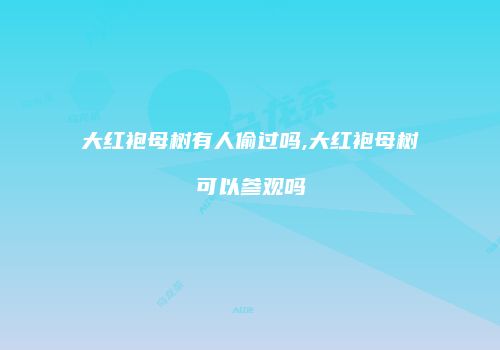 大红袍母树有人偷过吗,大红袍母树可以参观吗