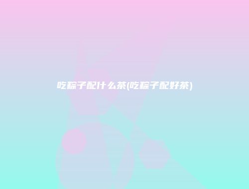 吃粽子配什么茶(吃粽子配好茶)