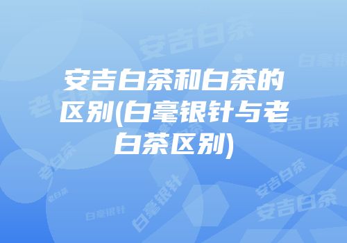 安吉白茶和白茶的区别(白毫银针与老白茶区别)