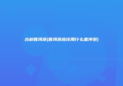 古树普洱茶(普洱茶应该用什么壶冲泡)