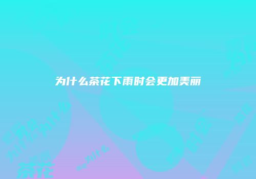 为什么茶花下雨时会更加美丽