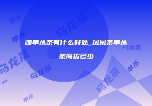 喝单丛茶有什么好处_凤凰茶单丛茶海拔多少