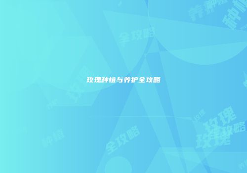 玫瑰种植与养护全攻略