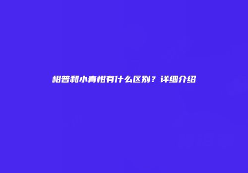 柑普和小青柑有什么区别？详细介绍