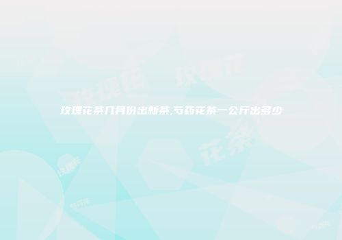 玫瑰花茶几月份出新茶,芍药花茶一公斤出多少