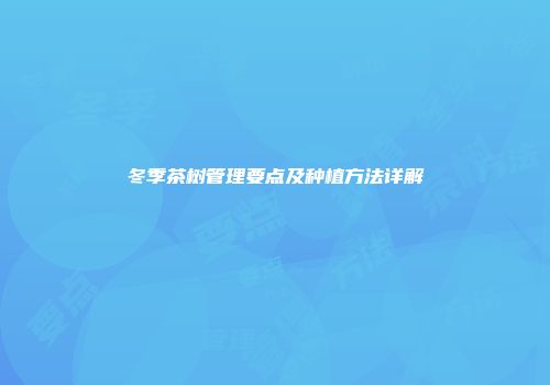 冬季茶树管理要点及种植方法详解