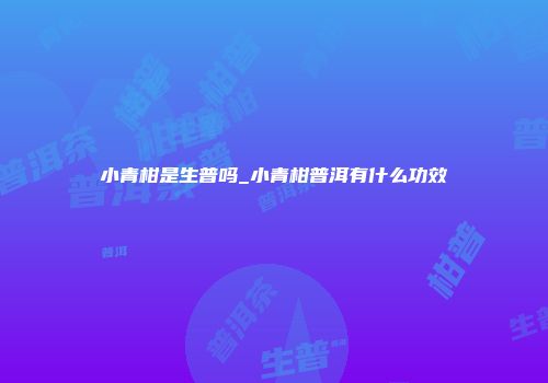 小青柑是生普吗_小青柑普洱有什么功效