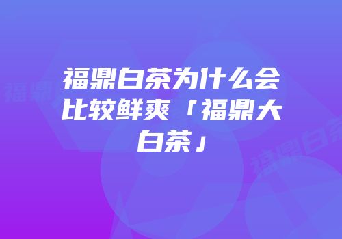 福鼎白茶为什么会比较鲜爽「福鼎大白茶」