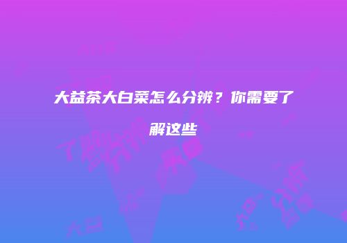 大益茶大白菜怎么分辨？你需要了解这些