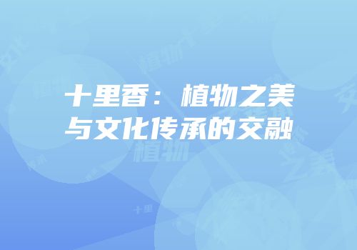 十里香：植物之美与文化传承的交融