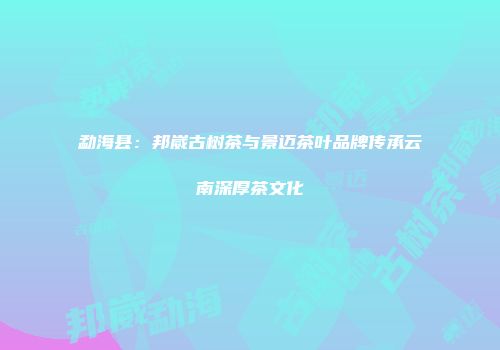 勐海县：邦崴古树茶与景迈茶叶品牌传承云南深厚茶文化
