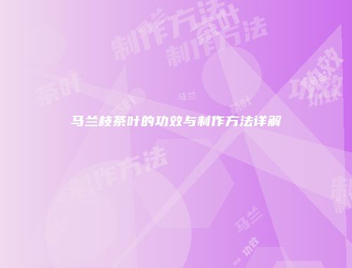 马兰枝茶叶的功效与制作方法详解
