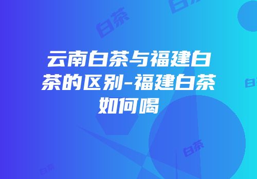 云南白茶与福建白茶的区别-福建白茶如何喝