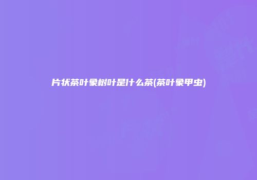 片状茶叶象树叶是什么茶(茶叶象甲虫)