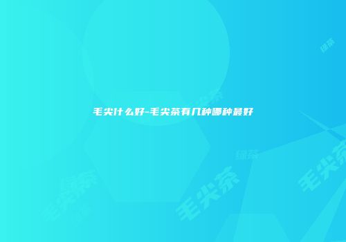 毛尖什么好-毛尖茶有几种哪种最好